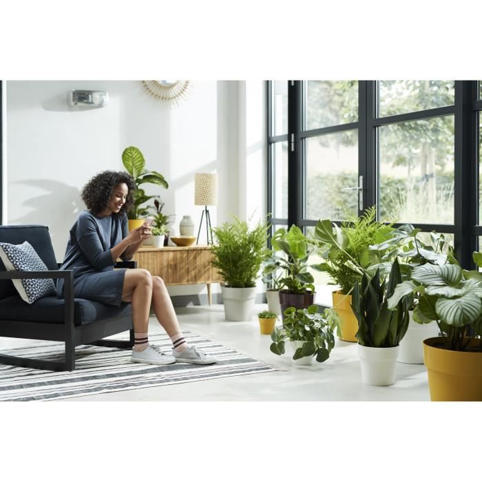 B. per Original Round 25 ocra