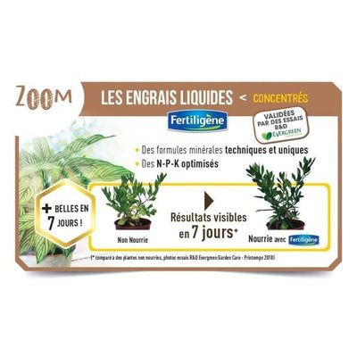 FERTILIGENE Fertilizzante Arbusti Bosso di bosso - 400 ml