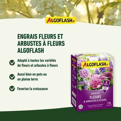 Fiori e fertilizzanti di fiori - Algoflash naturasol - 2 kg