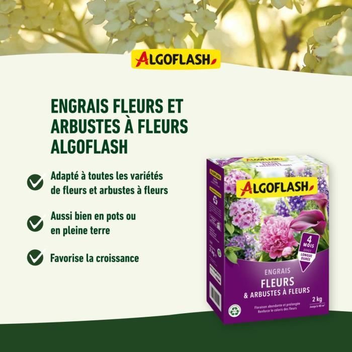 Fiori e fertilizzanti di fiori - Algoflash naturasol - 2 kg