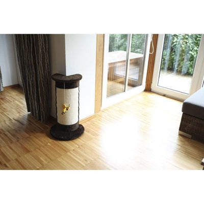 Albero marrone gatto angolare