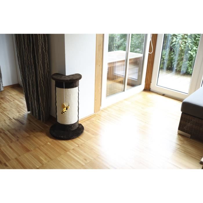 Albero marrone gatto angolare