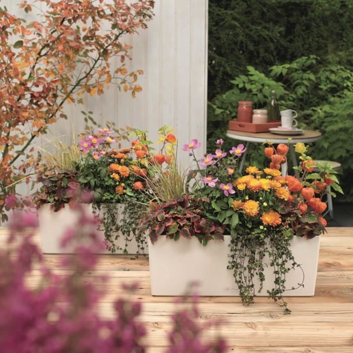 LECHUZA Jardiniere Balconera Colore 50 ALL-IN-ONE Bianco 15670