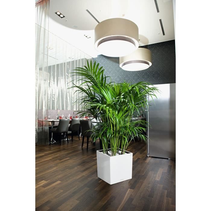 Vaso da fiori LECHUZA Cube Premium 40 - set completo, bianco lucido
