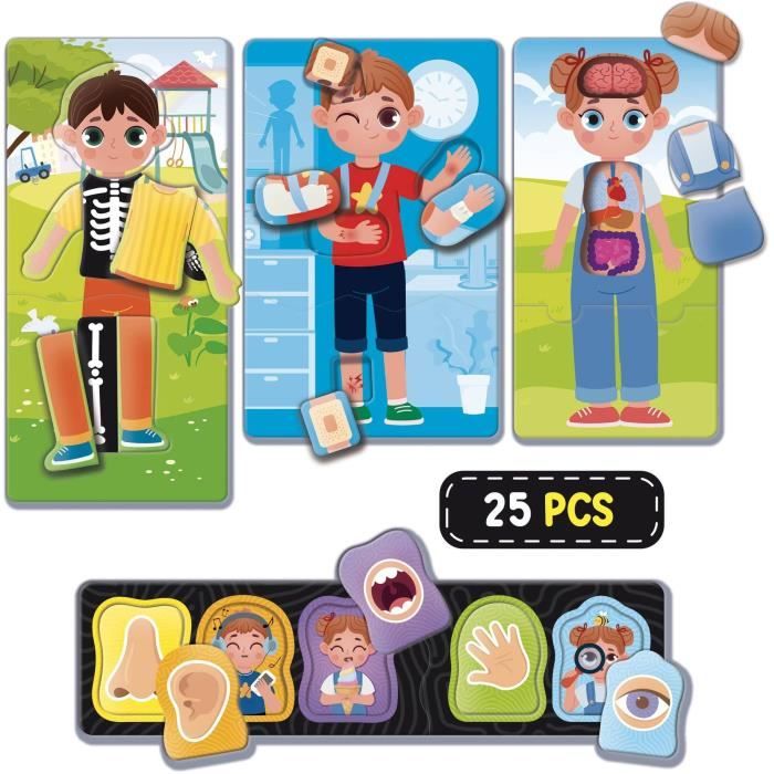 Gioco educativo sul corpo umano - LISCIANI - Divertente e informativo