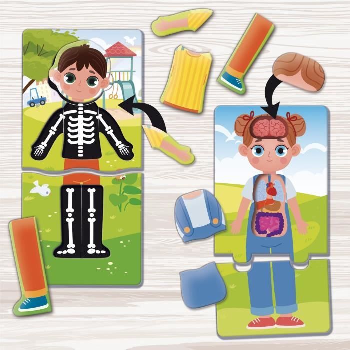 Gioco educativo sul corpo umano - LISCIANI - Divertente e informativo