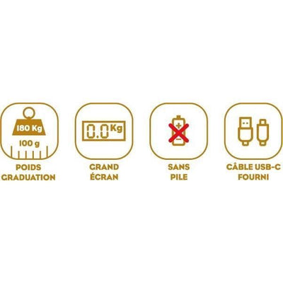 Bilancia personale - LITTLE BALANCE - 8729 - Tartarughe dorate metallizzate - Riparabile tramite USB - 180 kg / 100 g - Rosa