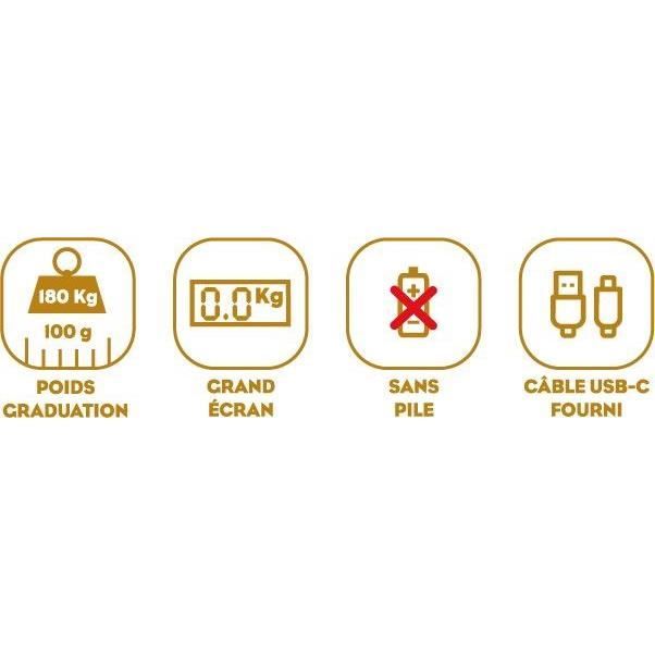 Bilancia personale - LITTLE BALANCE - 8729 - Tartarughe dorate metallizzate - Riparabile tramite USB - 180 kg / 100 g - Rosa