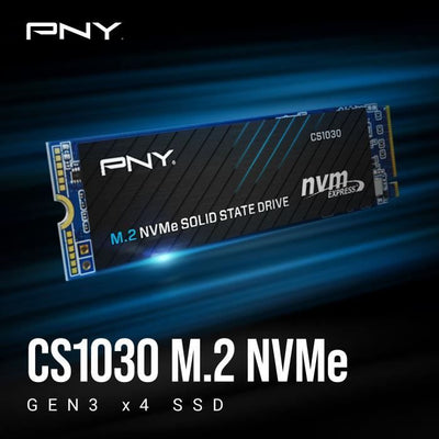 Unità a stato solido interna - PNY - CS1030 M.2 GEN3 - 250 GB - NVMe (M280CS1030-250-RB)