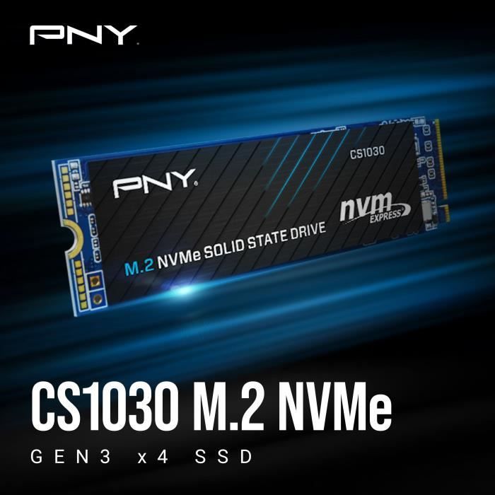 Unità a stato solido interna - PNY - CS1030 M.2 GEN3 - 250 GB - NVMe (M280CS1030-250-RB)