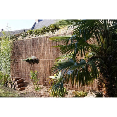 Canna di vimini fine - NATURA - 1 x 3 m - schermatura 4/5