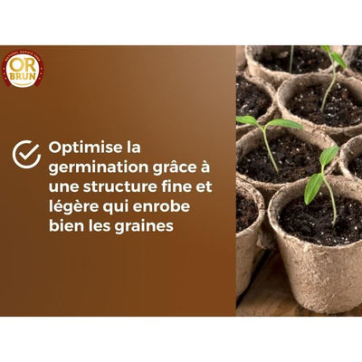 Terriccio per semi - BROWN GOLD - OBRTSEM6U - 6L - Migliora il drenaggio - Ottima ritenzione idrica