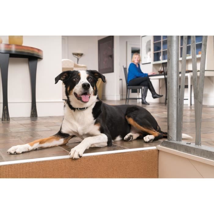 Collare aggiuntivo per Sistemi di Supporto Educativo 300-600-900 m