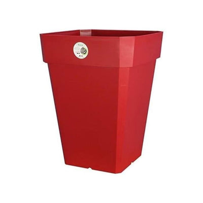 SQUARE RED 40 SOLEILLA