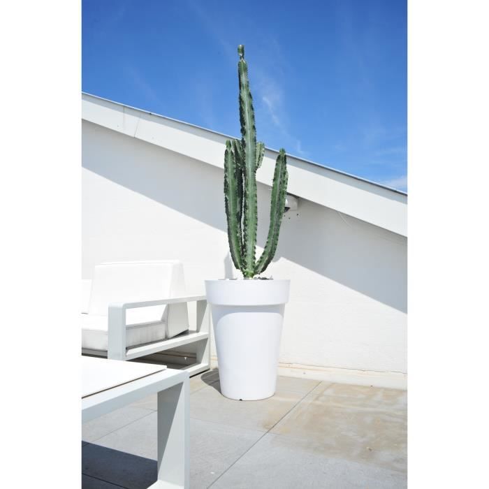 SOLEILLA HAUT 53 BIANCO