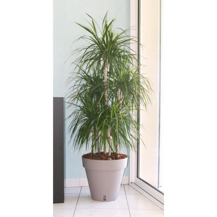 giardino del contenitore in plastica