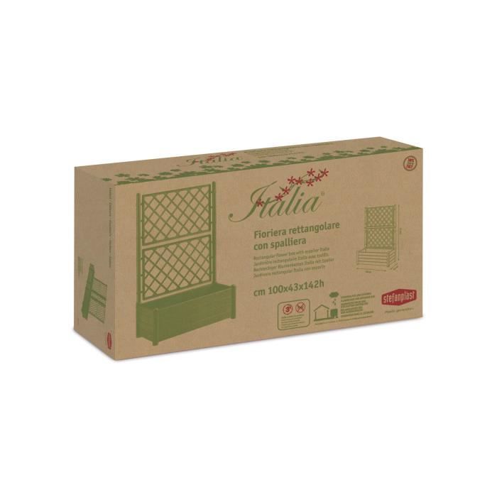 Bac + traliccio del fiore bianco