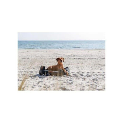 Collare semi-strozzo TRIXIE BE NORDIC - Pelle - L-XL 55 cm -  10 mm - Grigio