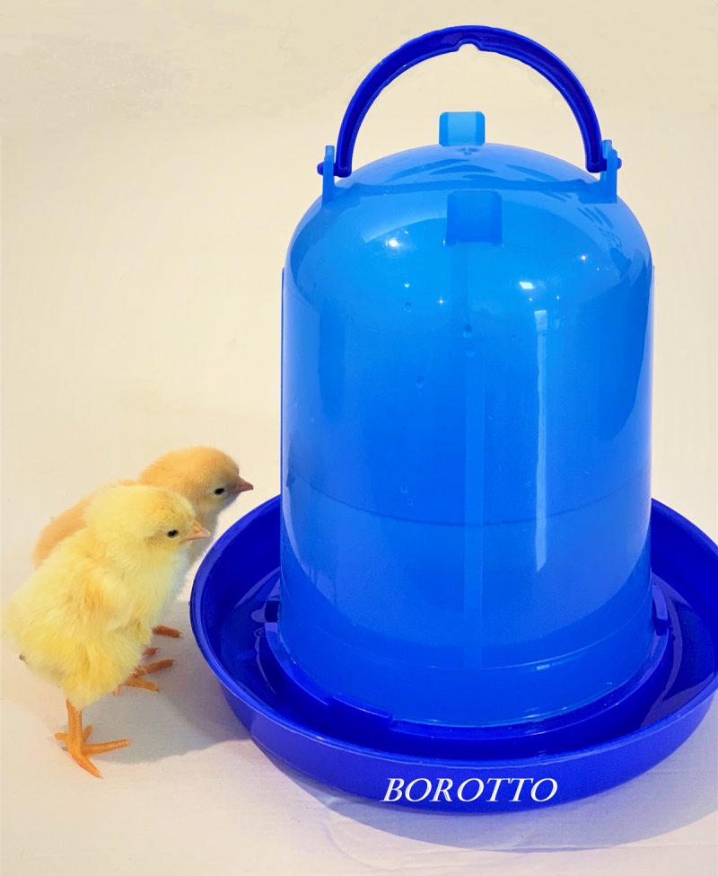Abbeveratoio Sifone 3 Litri con Manico: Praticità e Salute per Pulcini e Polli