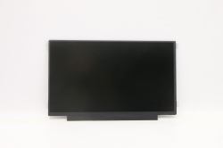 Display 11.6 FHD Non-Touch - Anti-Glare TN 250nit 45%NTSC - Warranty: 3M