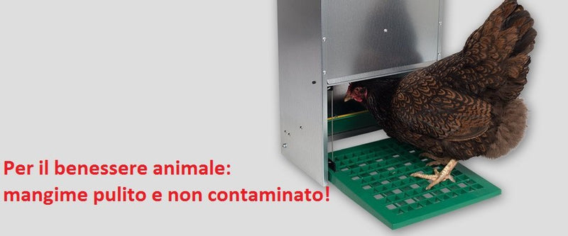 Mangiatoia automatica a pedale 5 Kg: Sicurezza e Protezione del Mangime, Regolabile e Impermeabile