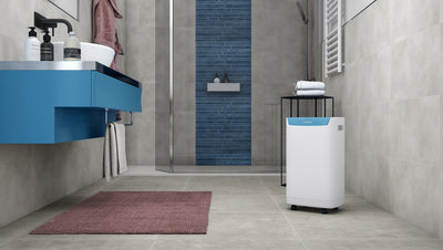 Olimpia Splendid Aquaria S1 14 P Deumidificatore 2L 250 W Bianco