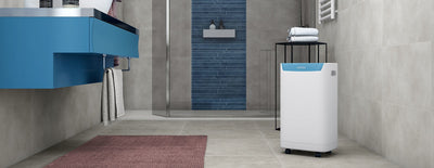 Olimpia Splendid Aquaria S1 14 P Deumidificatore 2L 250 W Bianco