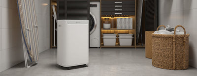 Olimpia Splendid Aquaria S1 12 P Deumidificatore 2L 216 W Bianco