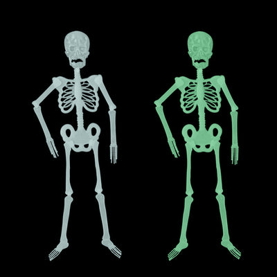 Luminous Skeleton Halloween Skeleton Event Props