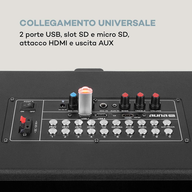 Pro KTV - Cassa Karaoke, Con 2 Microfoni UHF Senza Fili, Display Touch, Wifi, Bluetooth, 2X Porte USB, SD & Micro-Sd, HDMI, AUX, Batteria, Presa Trolley, Eco, Telecomando, 2 Prese Di Trasporto