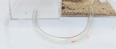 The Ant Nest Is Connected With An Acrylic Activity Box