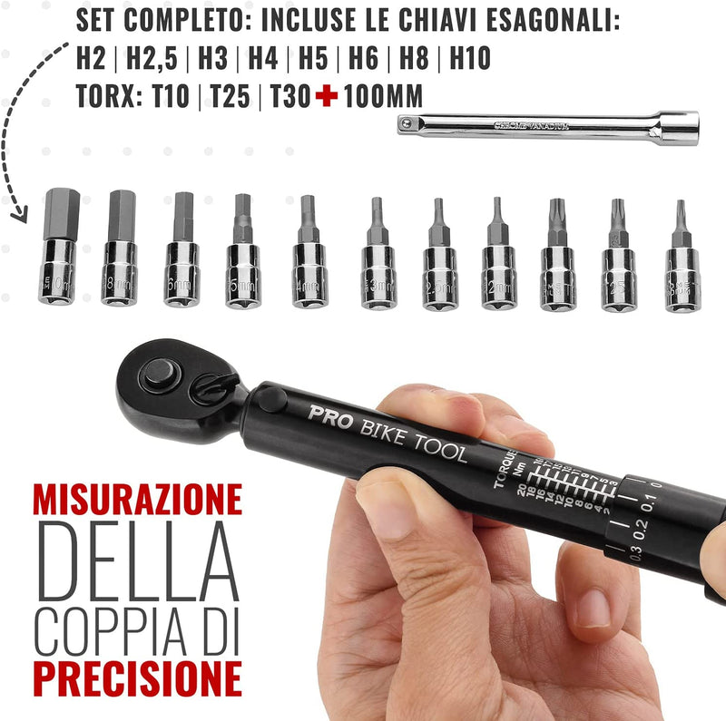 1/4 Inch Drive Click Set Di Chiavi Dinamometriche a Scatto - Da 2 a 20 NM - Kit Di Manutenzione per Biciclette Da Strada E Mountain Bike - Include Prese Allen E Torx