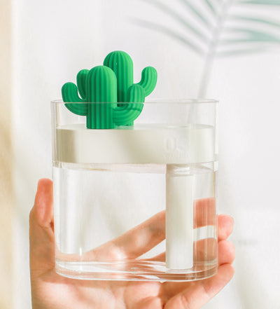 Transparent Cactus Humidifier