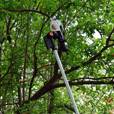 , Cesoie Elettriche Senza Fili Ricaricabili(2022 Versione), Asta Telescopica per Tagliare Rami D'Alberi, Diametro Di Taglio Massimo 25 Mm, Con Asta Telescopica