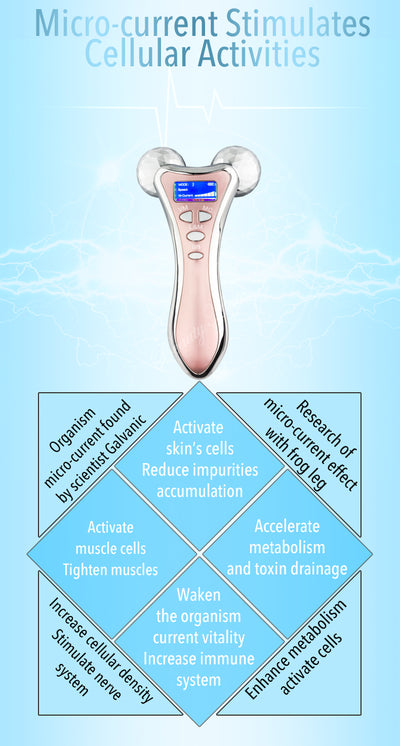 EMS Double Ball Roller Massage Instrument