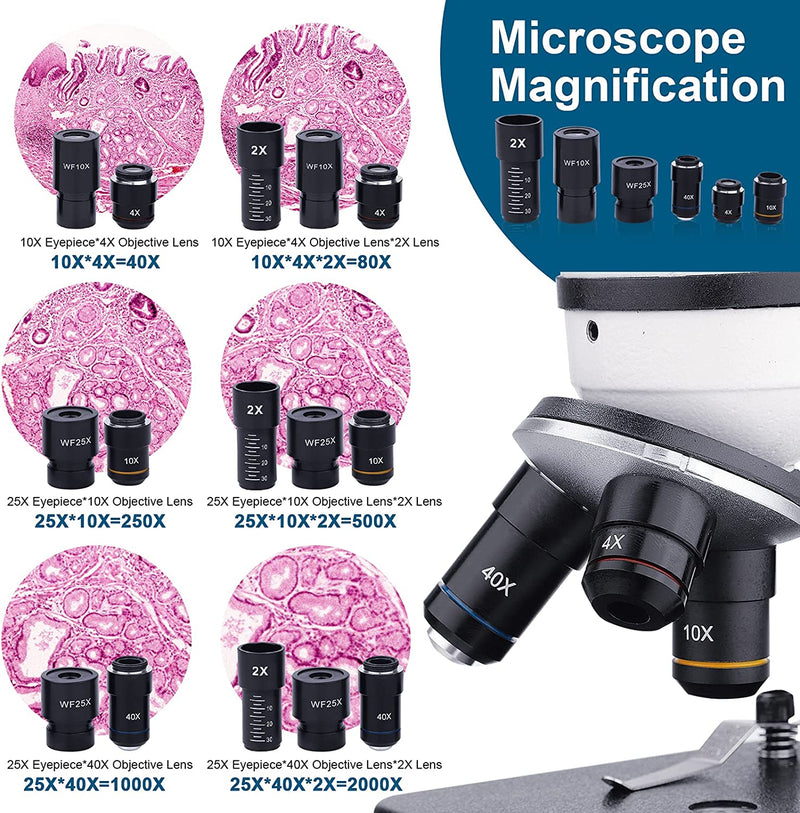 Microscopio Monoculare 40X-2000X per Studenti Adulti,Microscopio Professionale per Principianti Con Doppia Illuminazione a LED Con Kit,Lenti in Vetro Ottico,Custodia per Il Trasporto,15 Diapositive