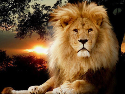 Diamond Painting Lion 5D DIY Embroidery Animal Art Decoration