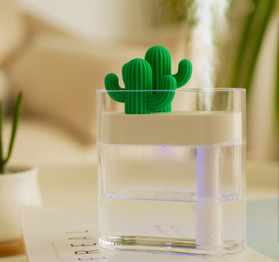 Transparent Cactus Humidifier