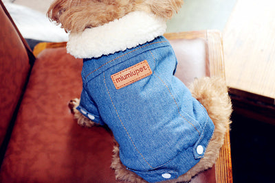 Winter Dog Jean Jacket