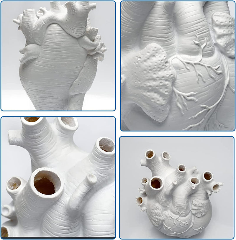 Vaso a Forma Di Cuore Anatomico in Resina, Scultura Vaso Arte, Arredamento per La Casa Desktop