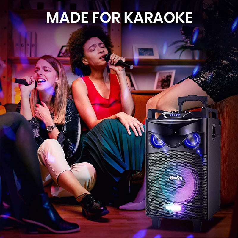 Cassa Karaoke Con 2 Microfoni Wireless,Karaoke Professionale Completo,Casse Bluetooth Potente Con Controllo Bassi/Alti,Altoparlante Portatile Con Luci Da Led,Supporto TWS/REC/AUX/MP3/USB/TF/FM