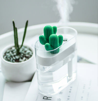 Transparent Cactus Humidifier