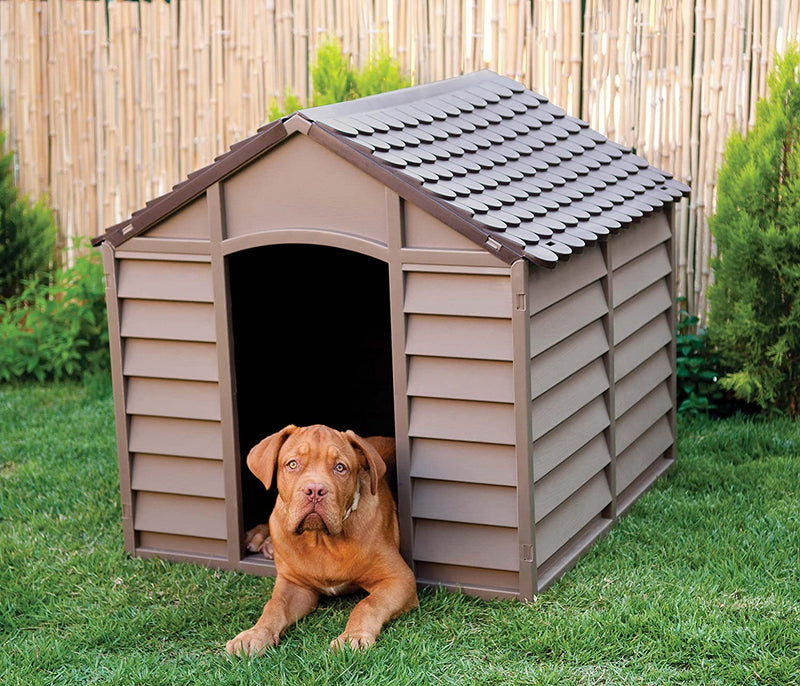 Cuccia per Cani Dog Kennel