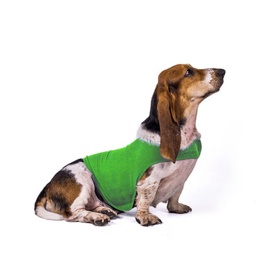 Anxiety Jacket Vest Summer Medical Treatment to Calm down Cat Clothes Dog Comfort Clothes