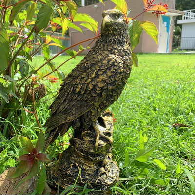 Statua Da Giardino Aquila, Magnifica Statua D'Arte Dell'Aquila per Casa Prato Cortile, Decorazione Paesaggistica