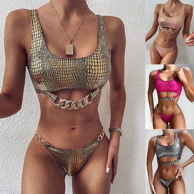 Bronzing Fabric Ladies Split Swimwear