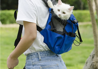 Ventilated and Breathable Pet Backpack