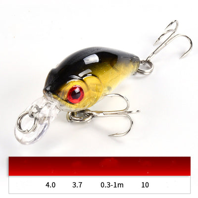 The 3.7G Luya Bait Set Is Specially Used for Killing Freshwater Cockroach