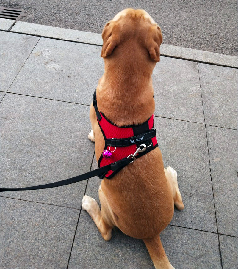 Saddle Dog Breast Strap