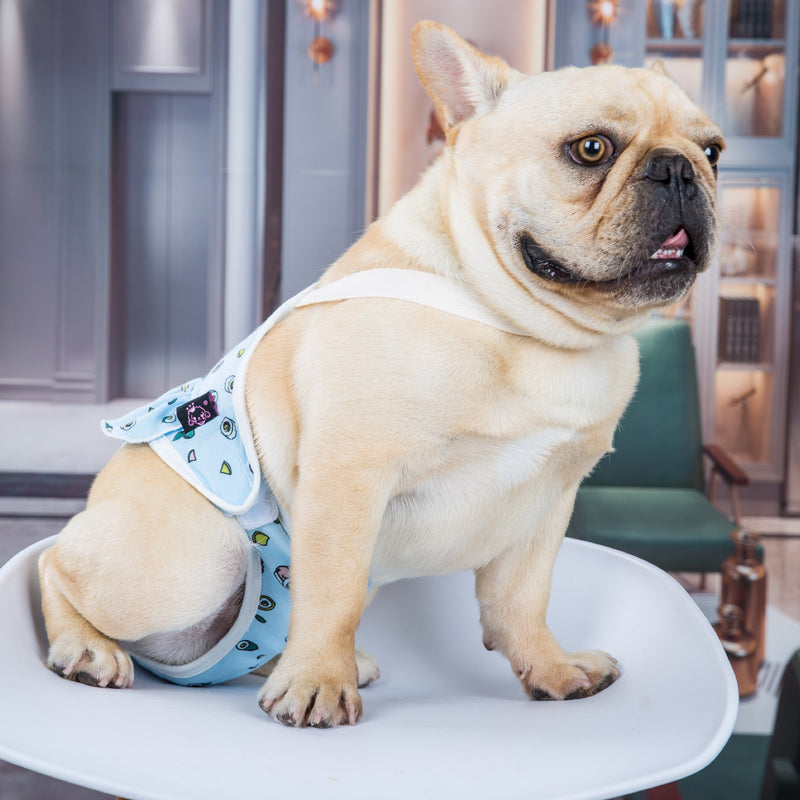 Dog Fighting Pugs Strap Physiological Pants Anti-Harassment